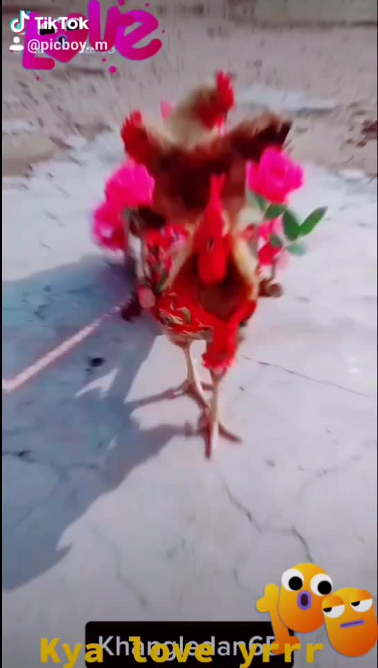 @ⓈⓊⓇⓎⒶ ⓅⓇⒶⓀⒶⓈⒽ ⓂⓄⒽⒶⓃⓉⒶ