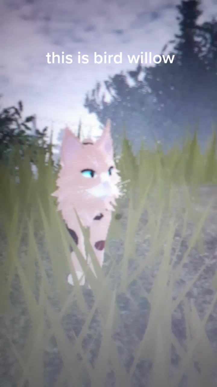 @warrior cats