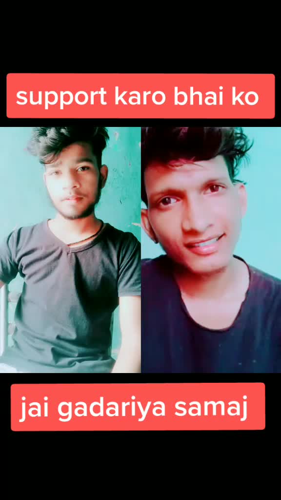 @gadariya sher 🐯🐯