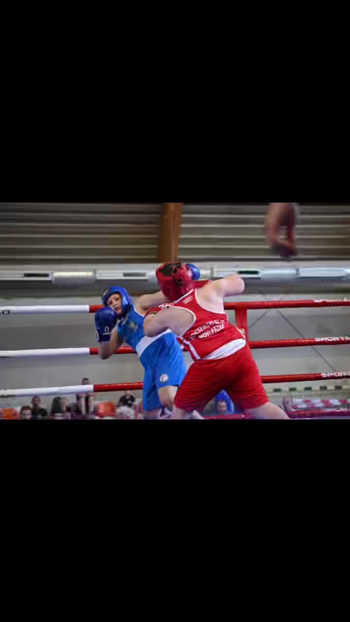@Dzan__curic 🥊🥊