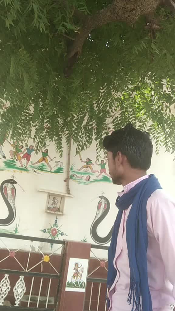@akashmerothadhalod