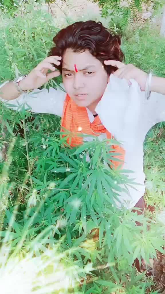 @Aarav Jadoun