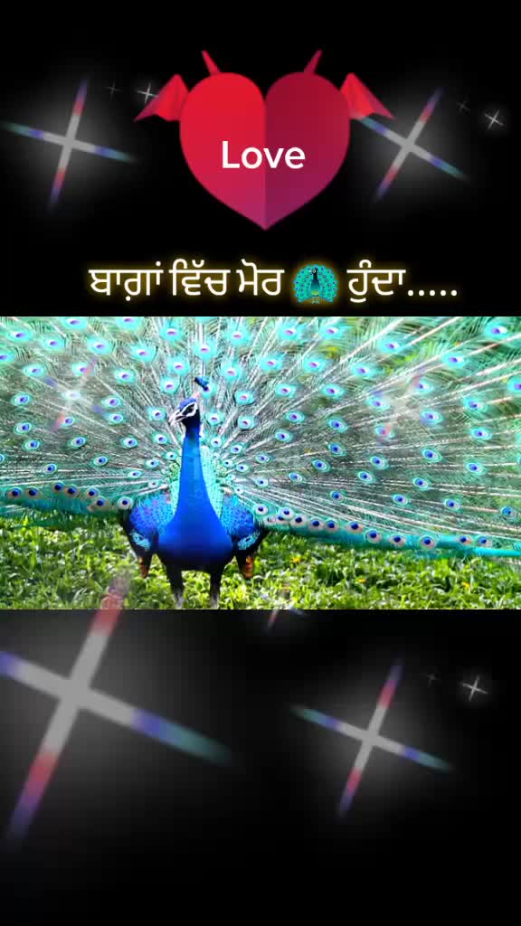 @Kaur_jatti