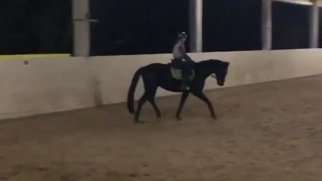 @My.soulhorse❤️🥺✌🏻