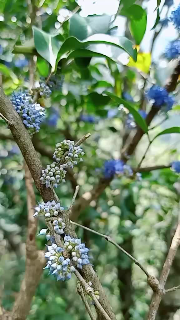 @💞 Arul Viknaya 💓