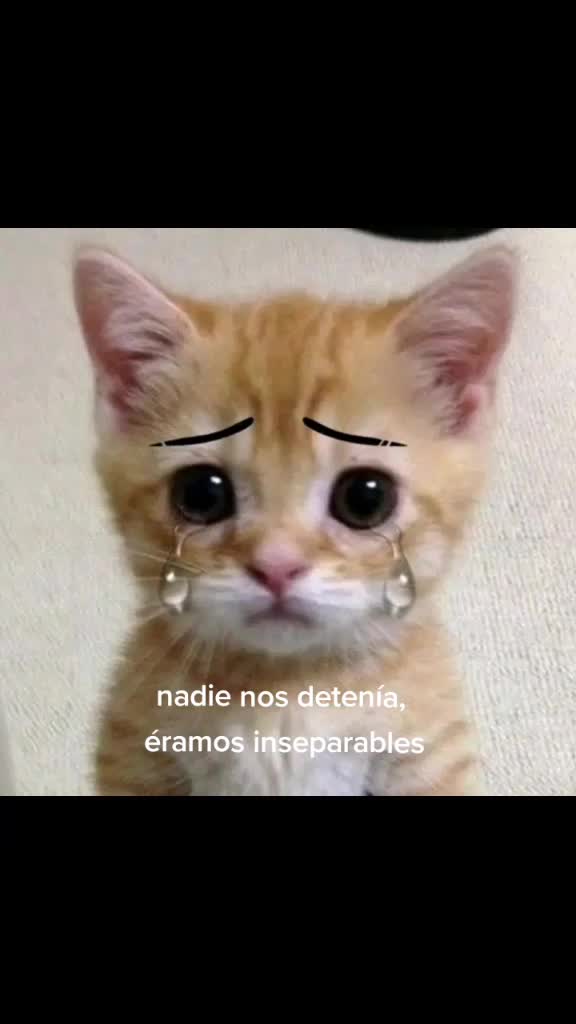 @&ntilde;