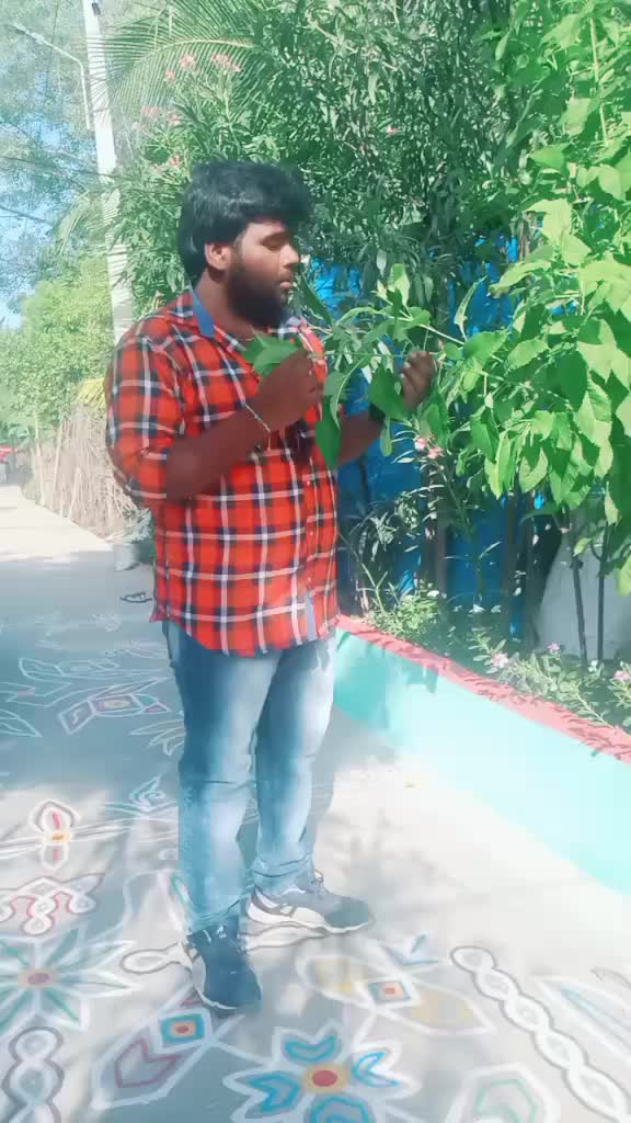 @user244412845255494