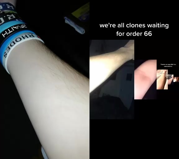 @dracherobin