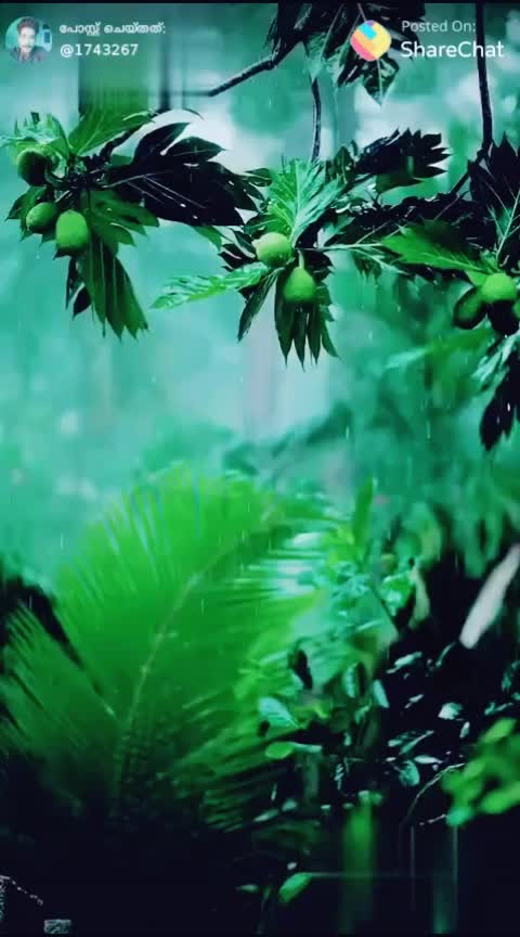 @SETHU S NAIR