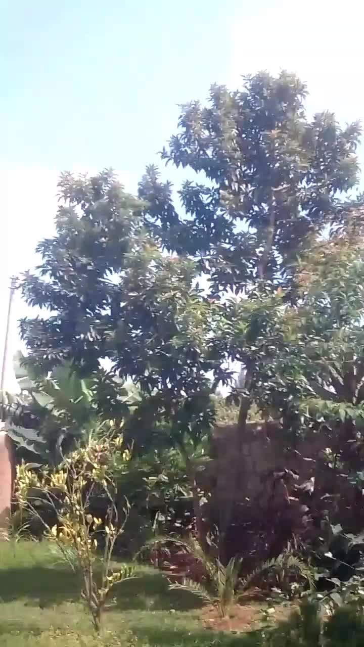 @Jak.mora205