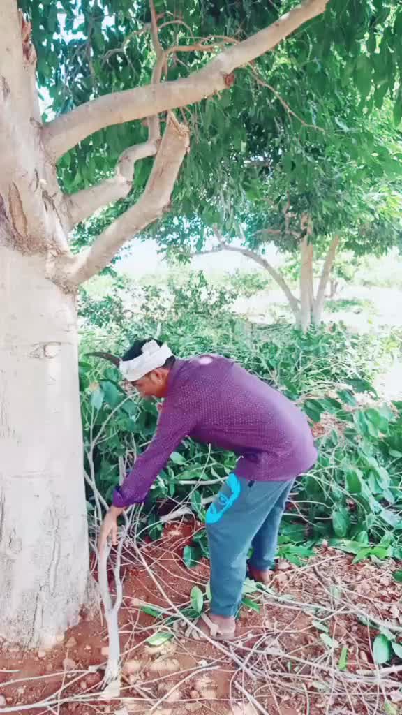 @Manthri Mahesh Mahi