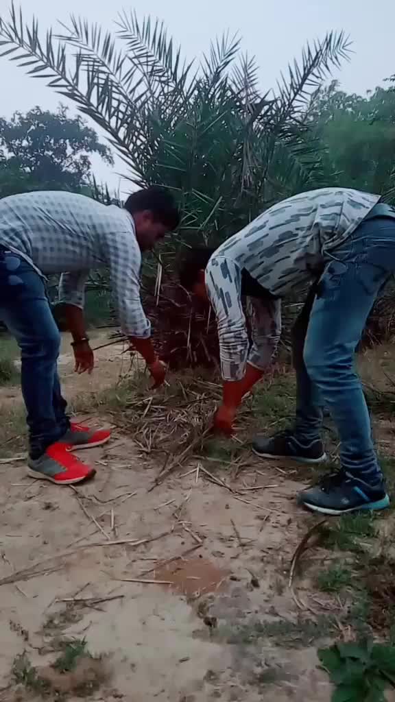 @Ankit Kumar