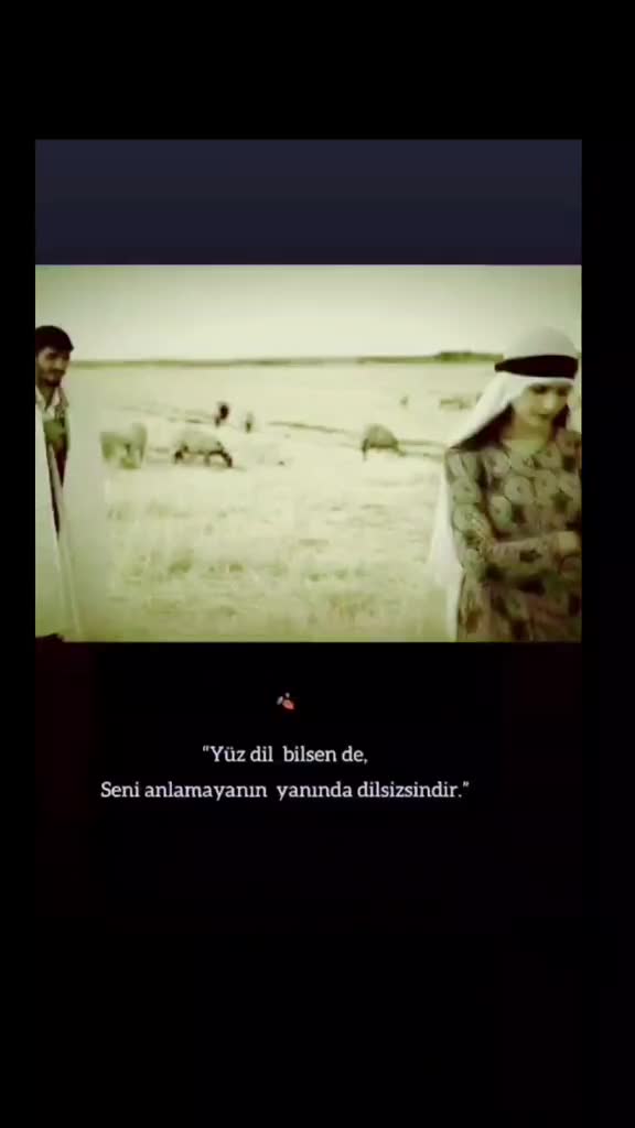 @KAYIP ŞEHİR68