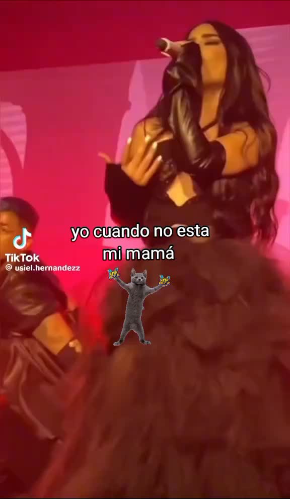 @✨