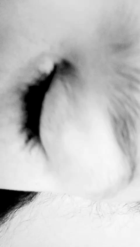 @S L O W M O 🖤👁️