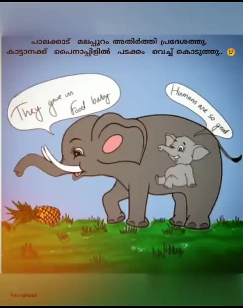 @sujith