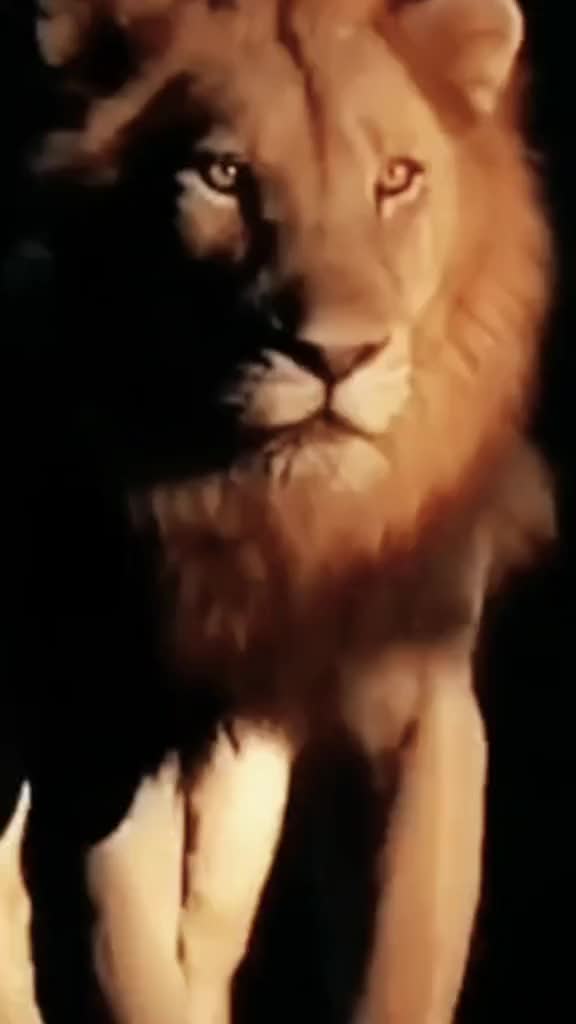 @🔱🦁🅰🆂🅻🅰🅽🦁🔱