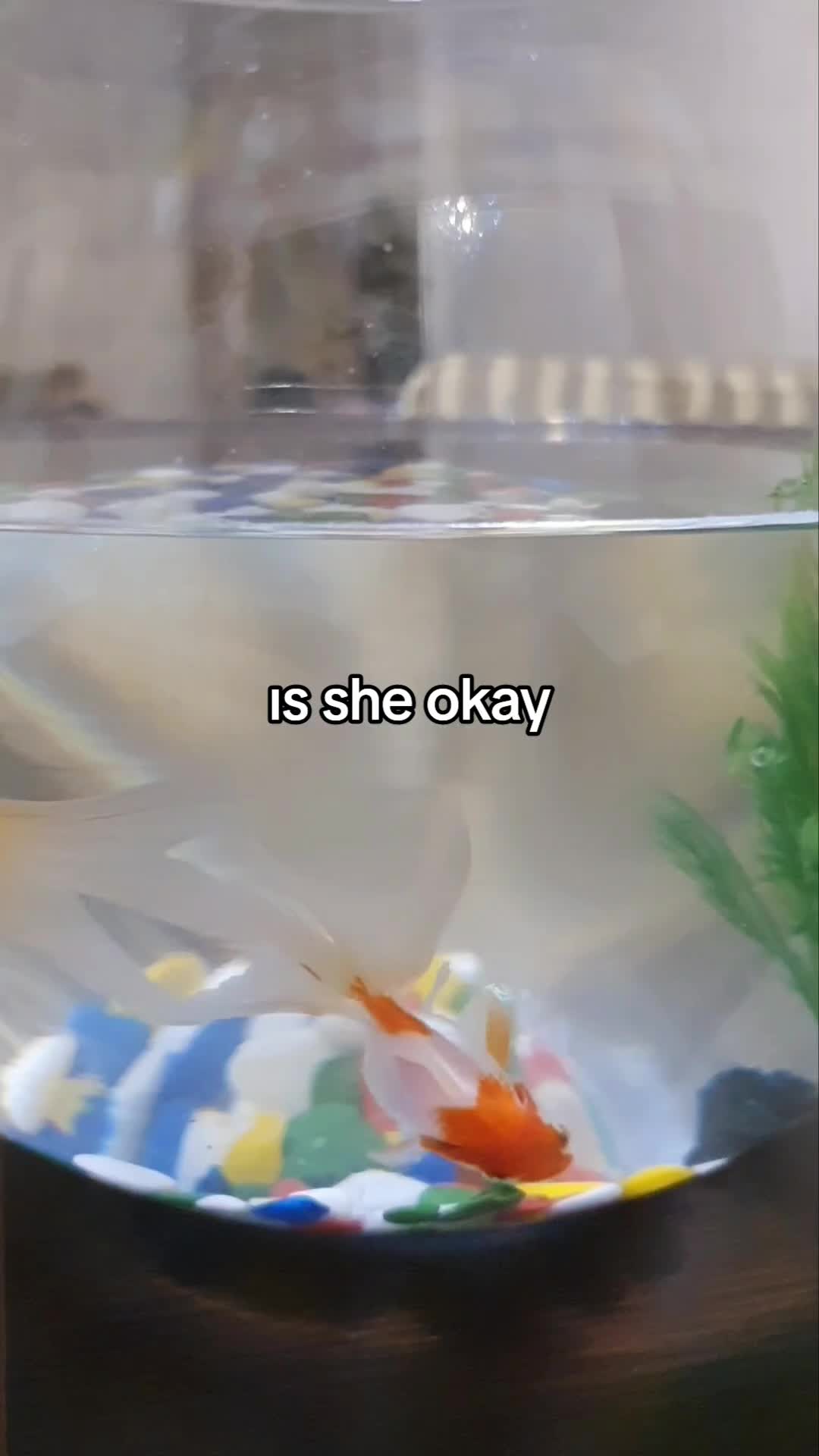 @hot.whale