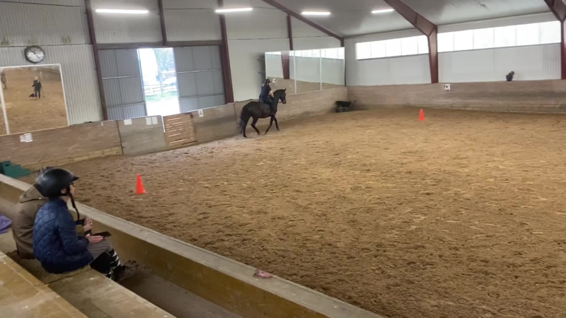 @🐎Ridning🐎 {3,8K}