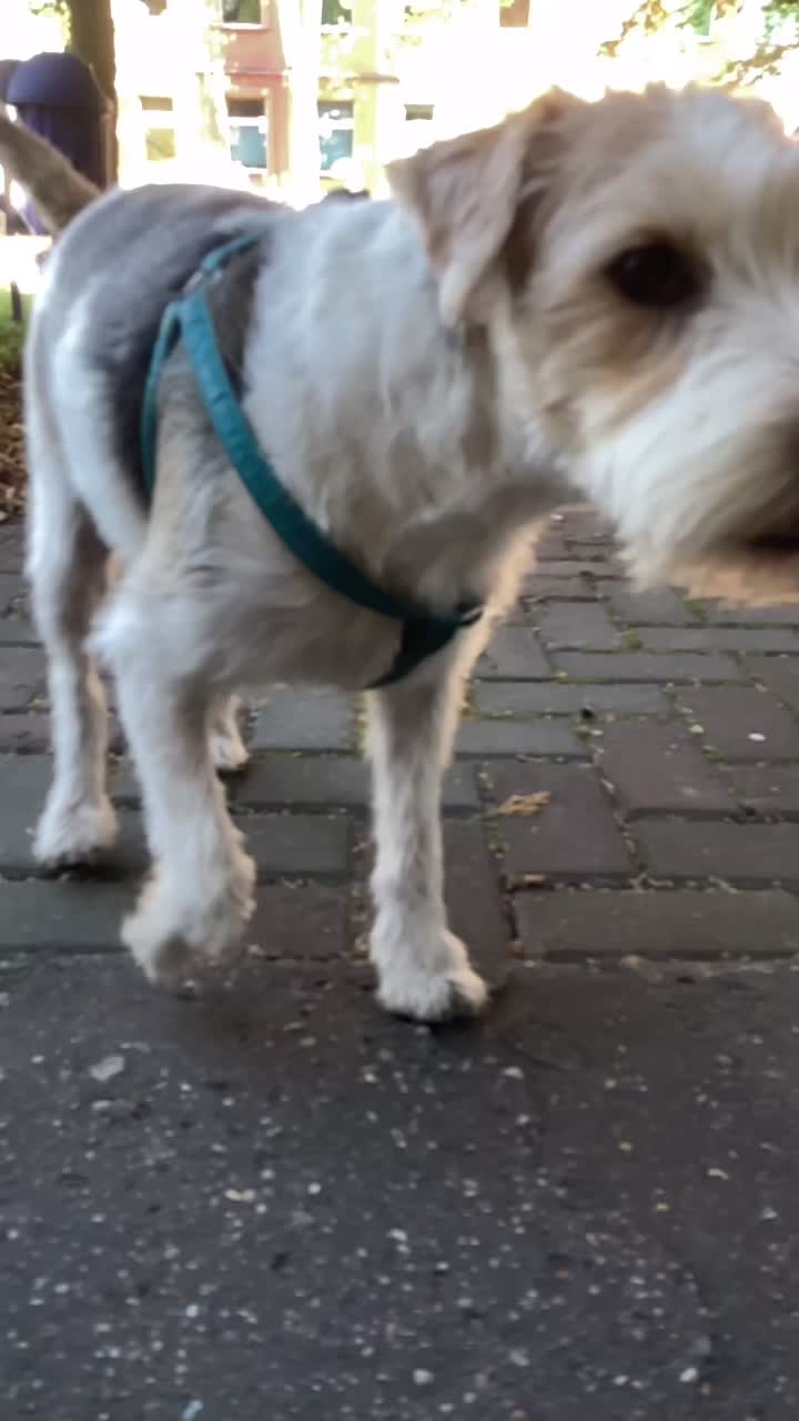 @𝐻𝑢𝑔𝑜