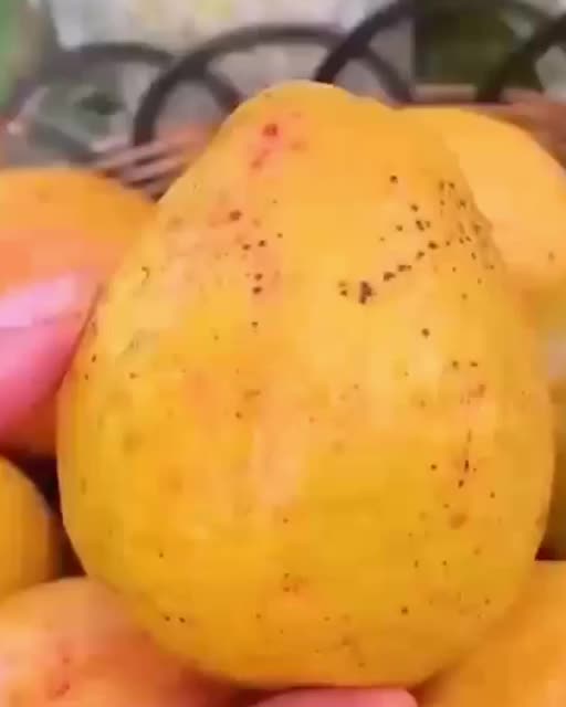 @🍎🍓🍒🍊🍍
