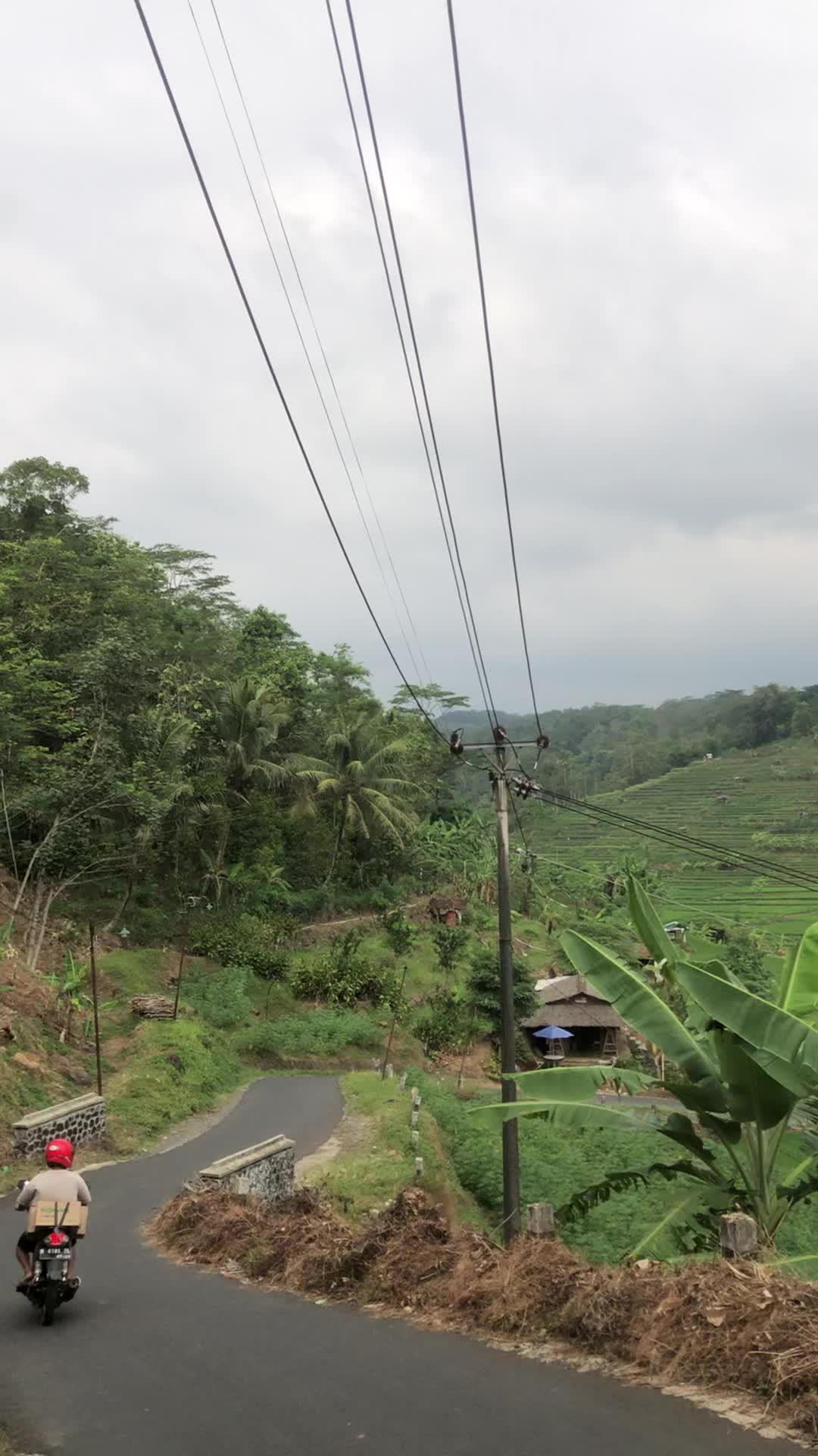 @Mas lut