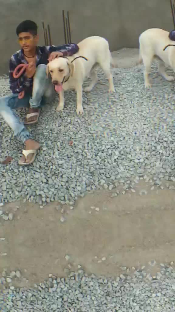 @rahul1808