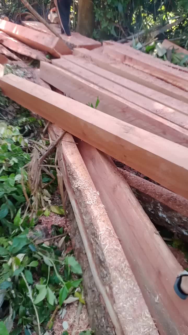 @ajo putiah