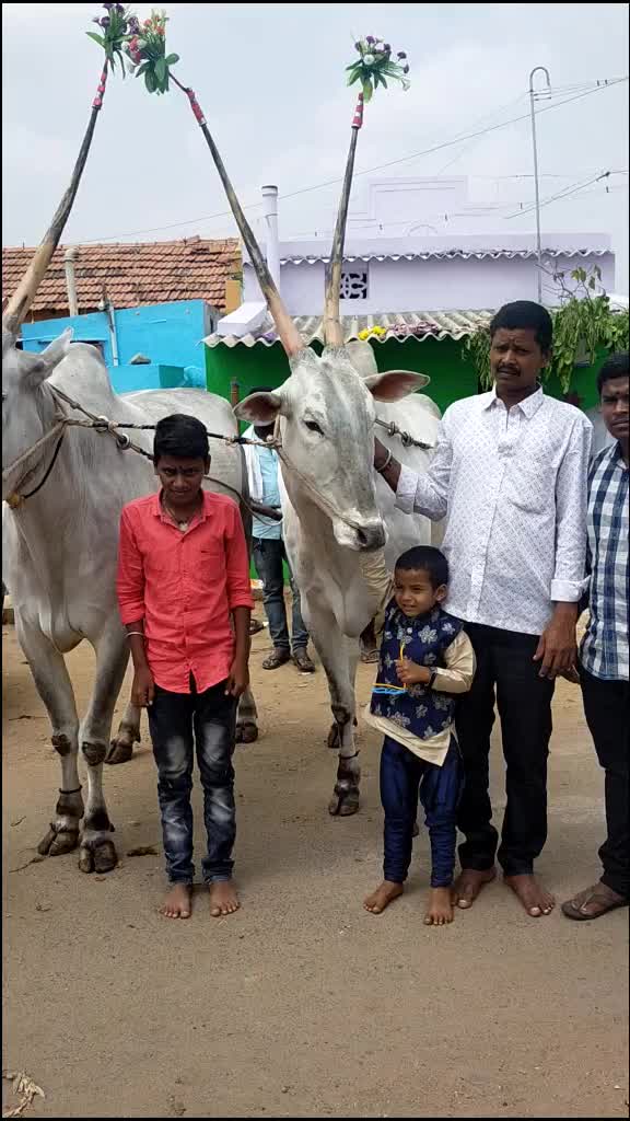 @Allumallu Allumallu