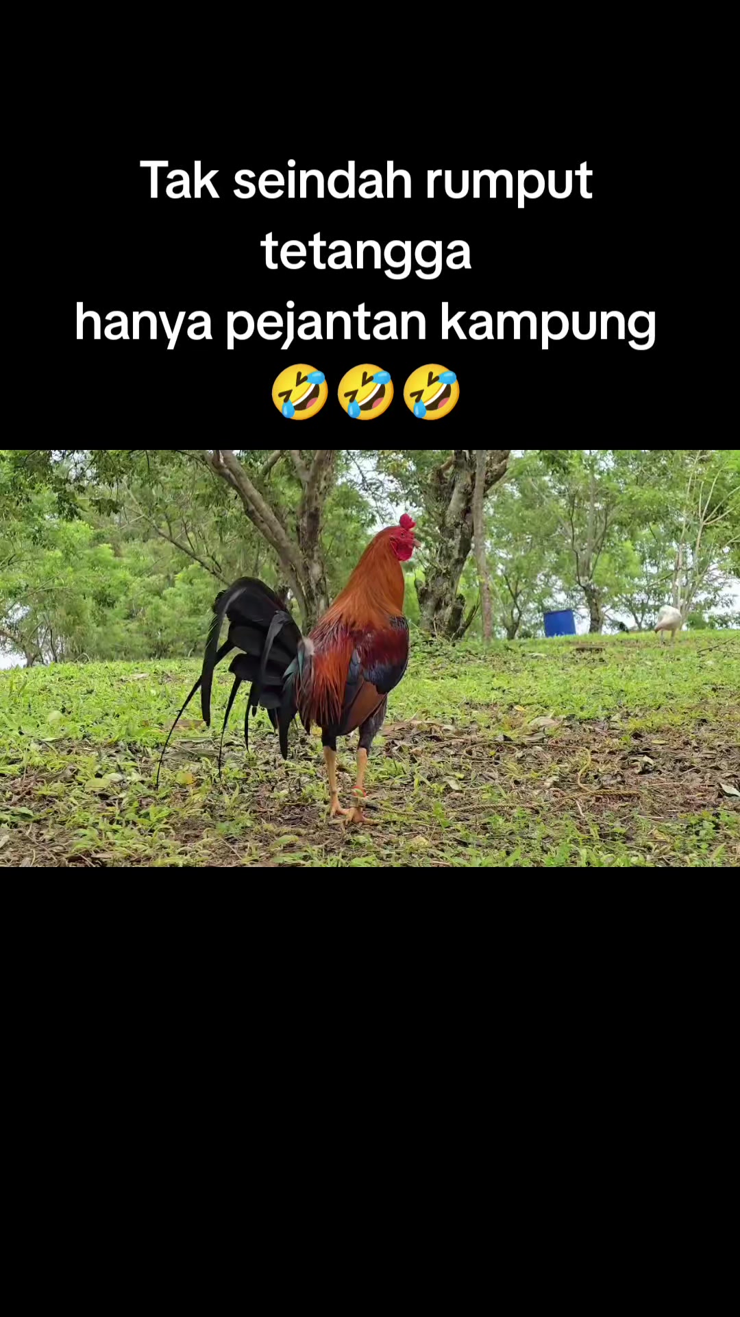 @Charles LGF