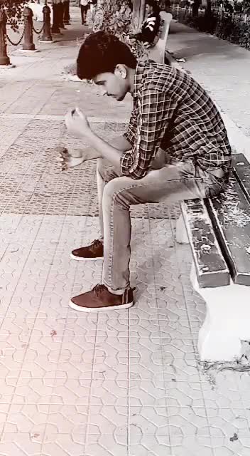 @Shadab alam