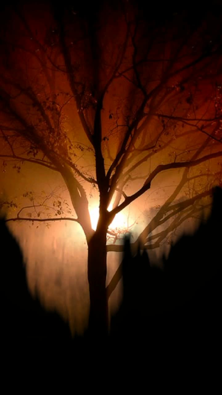 @Nagar45
