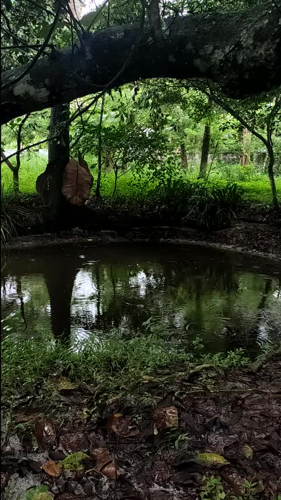 @Meenakshi Anirudhan