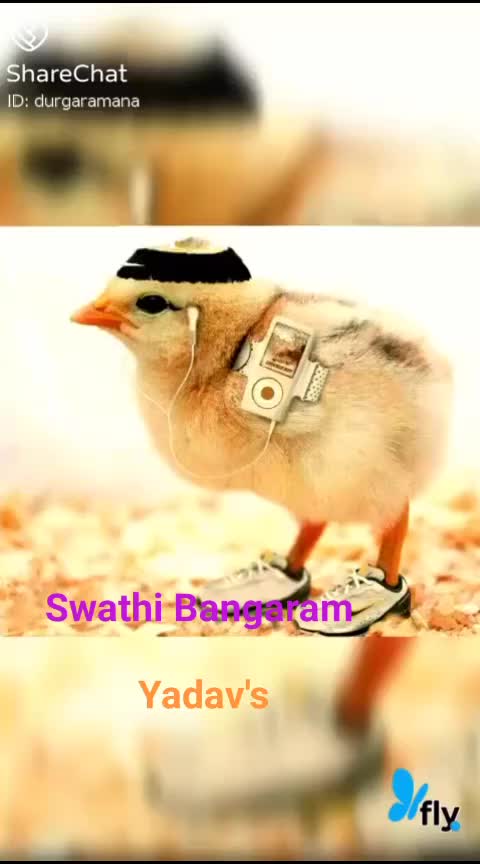 @Swathi Bangaram 11