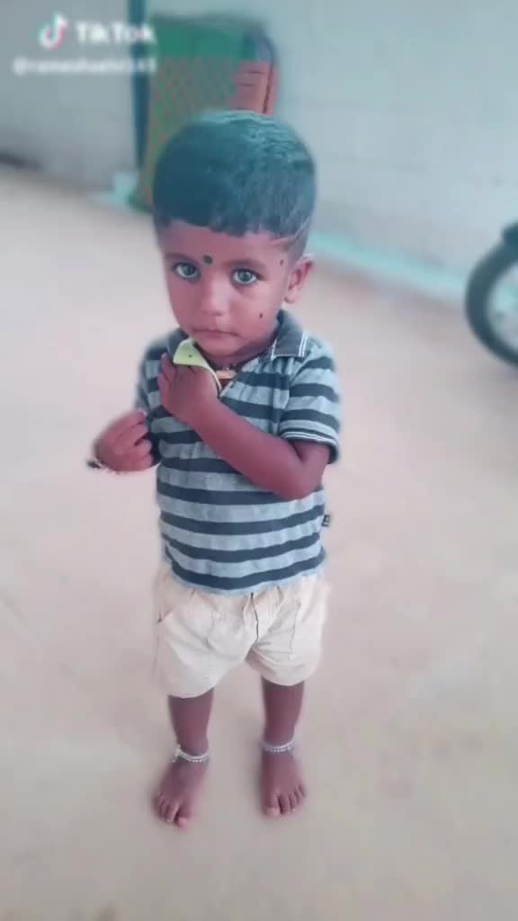 @கெட்டவன் kettavan🐬