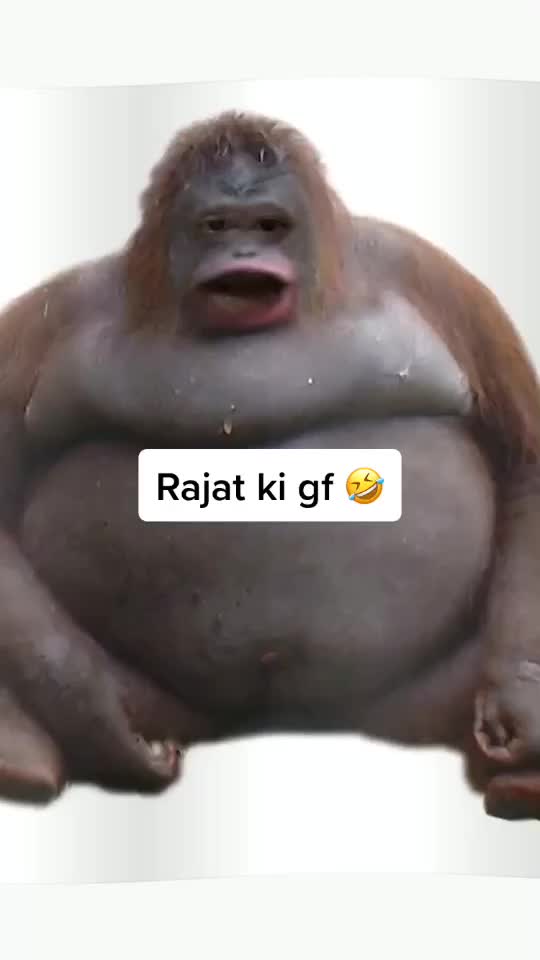 @Shubii👑👑