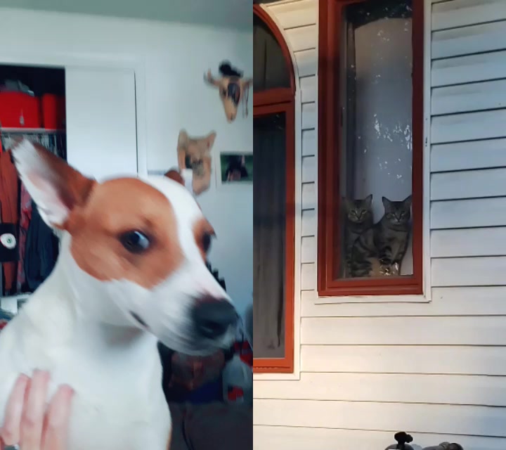 @Snowysmom