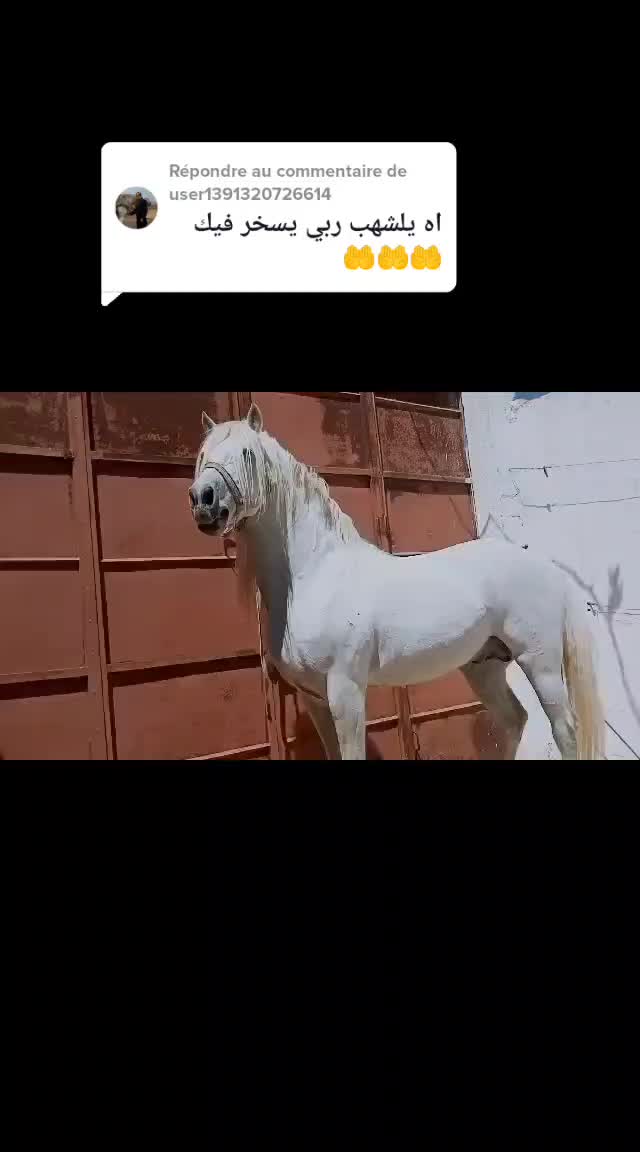 @حميد محمودي.