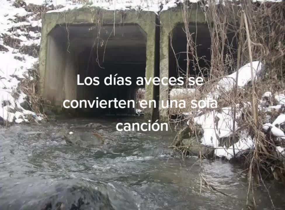 @Somi