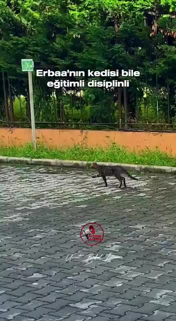 @Erbaa