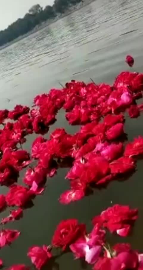 @Mihir Rajput 1807