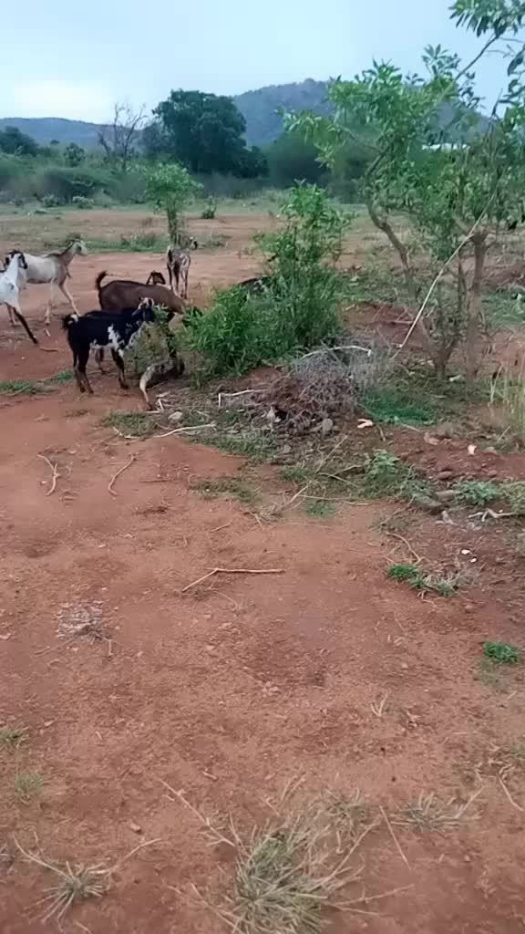 @Anand Babu