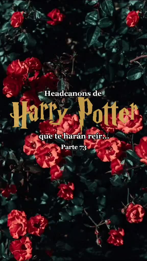 @Morrita de Ravenclaw 💙