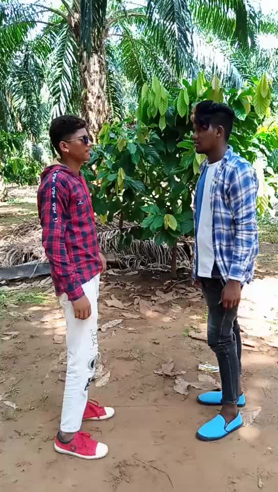 @user7725882975576