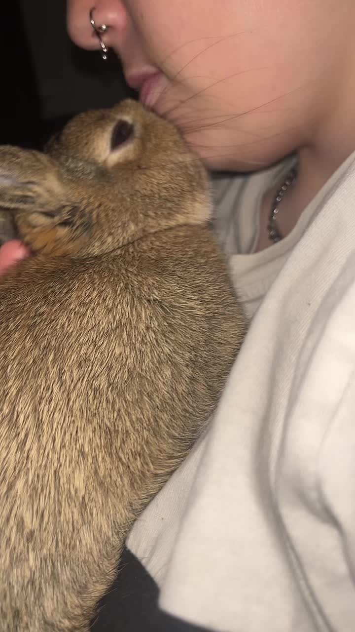 @Bugz_adventures 💙🐰