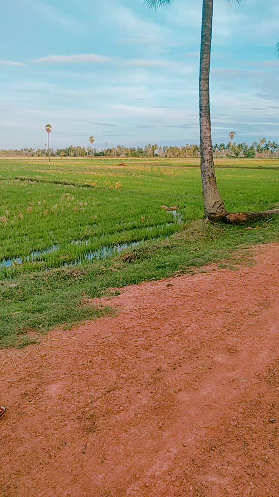 @nani kolli 143