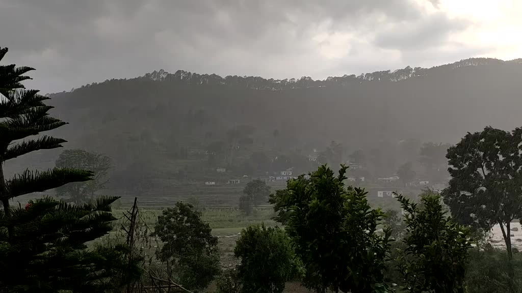 @Rahul Negi 🔥