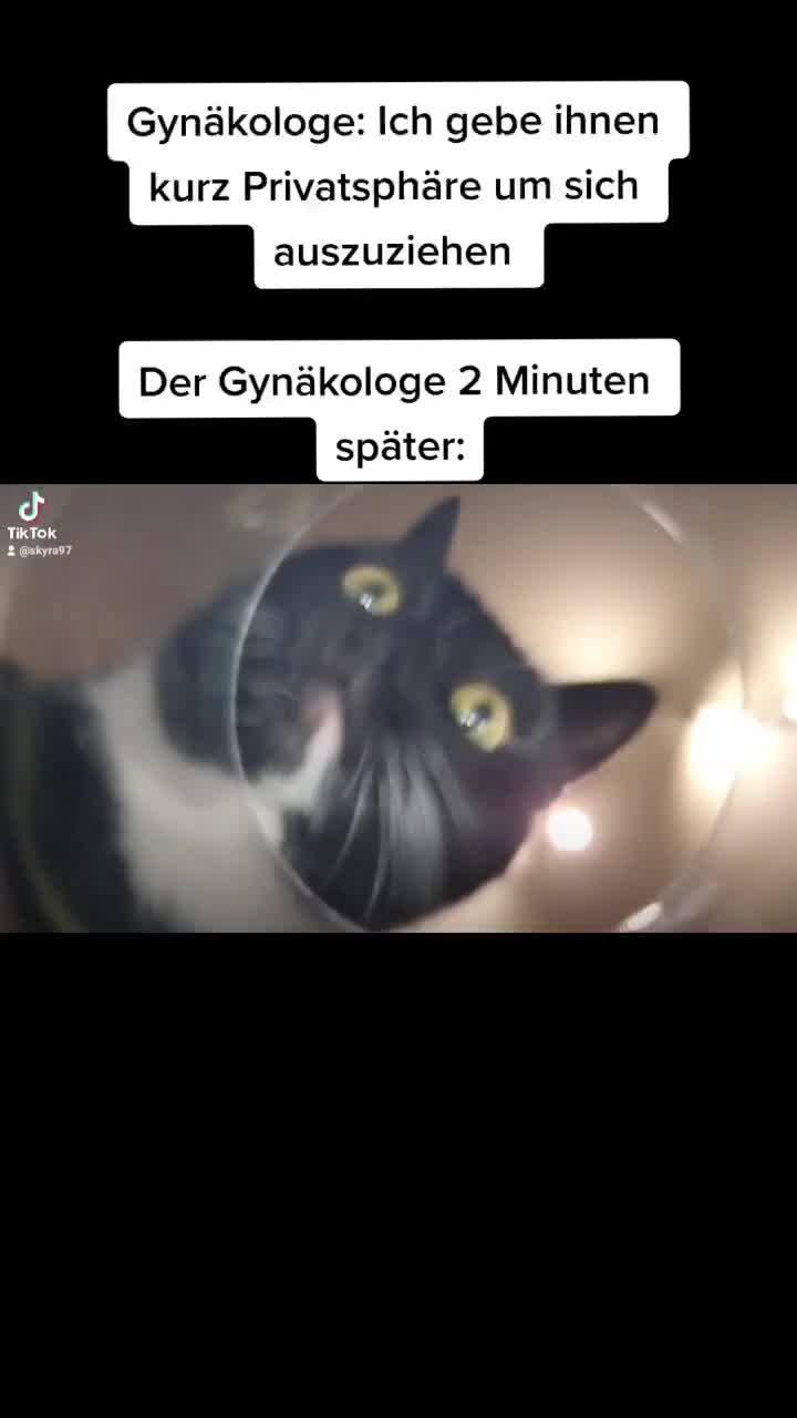 @Skyra