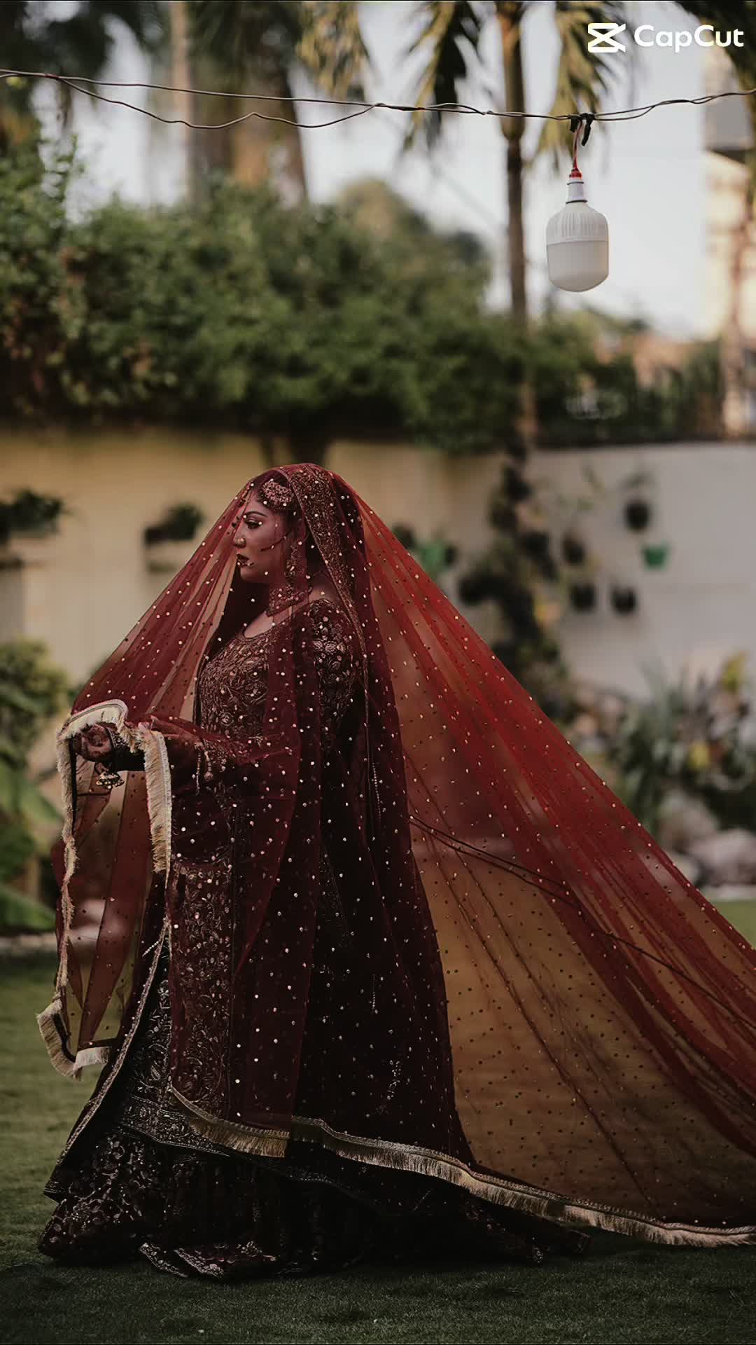 @Neha Gohar