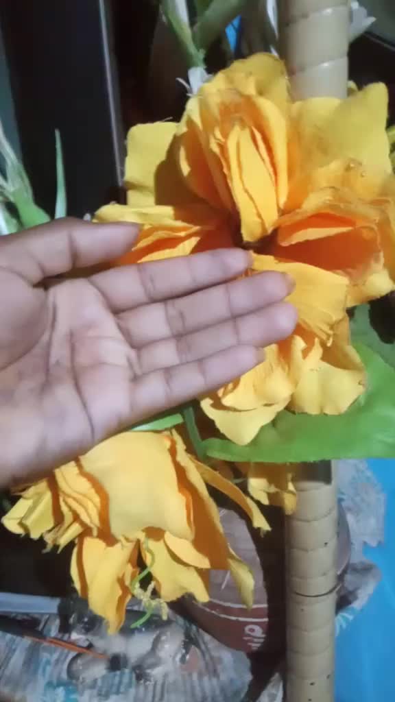 @sayanti Bauri